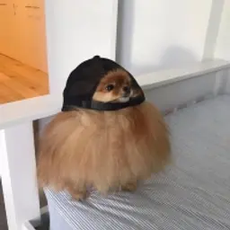 MAKC_79