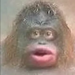 Snupkly