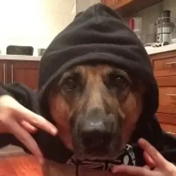 RollinInDeep