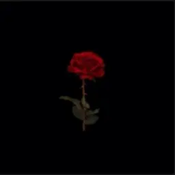 renameduser_232688