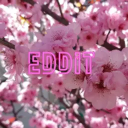 eddit