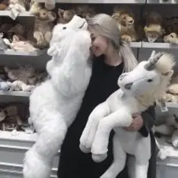 kimstopl