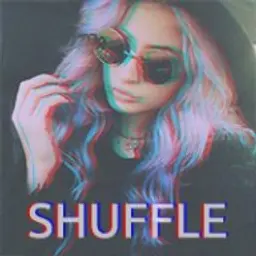 Shuffle1488