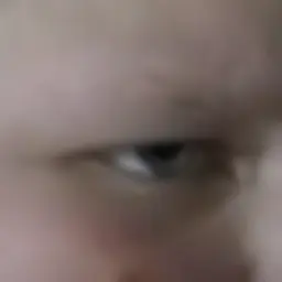 rasich_2k6