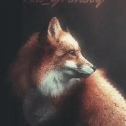 Fox_Grimsby
