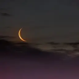 Wamari