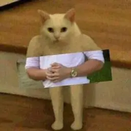 m0rkywf