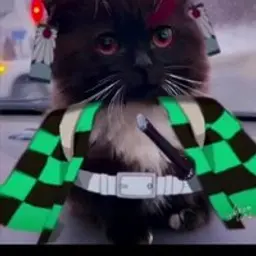 Killoxy