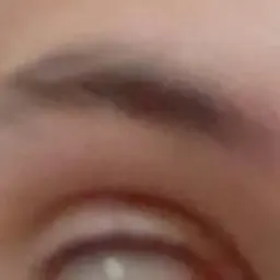 Bauerrr