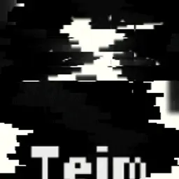 Teim