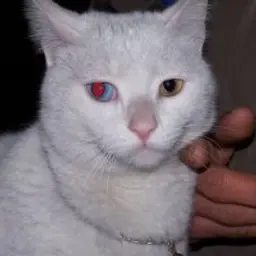 seti3001