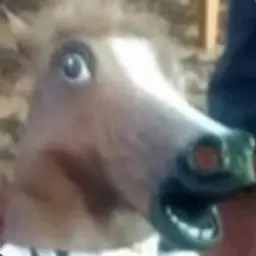 Defole