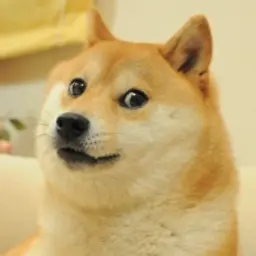 Doge