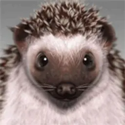 djarsens