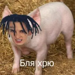 bekelekalm
