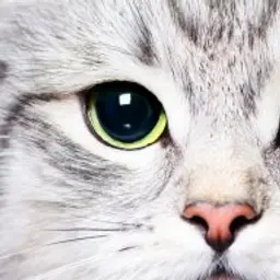 NDqODXha
