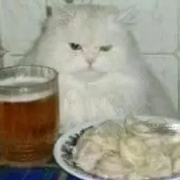 Vlad20041