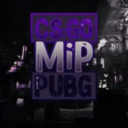 mip619