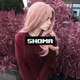 Shomaa_inactive