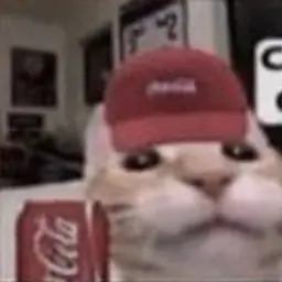 mishavacation