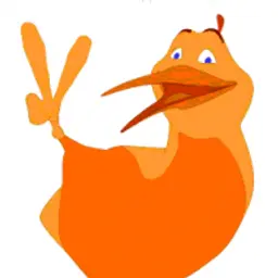 p4t44