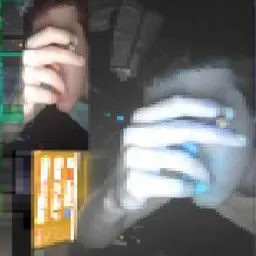 kakoitostupiddog