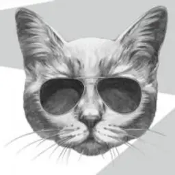qqsooqa