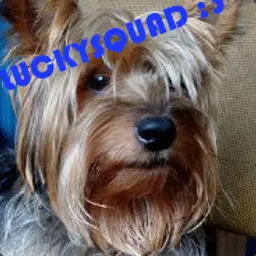 HackerAndrey