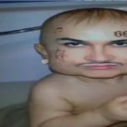 Y1ntro