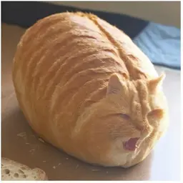 lakrity