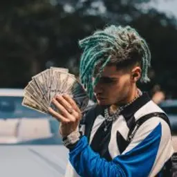 yungfuse
