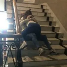 zzzfight