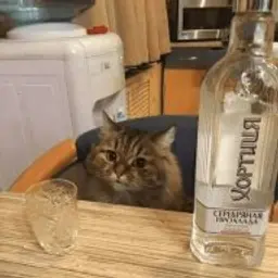 Mlooky