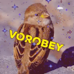 vorobey666