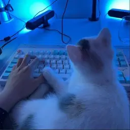Petrik2