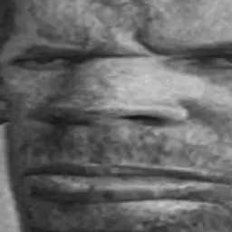 Ser_der