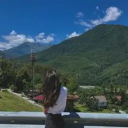alinkakisik