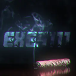 exe5111