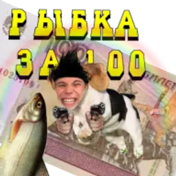 LolzMaxsuta