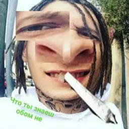 LowMaizda