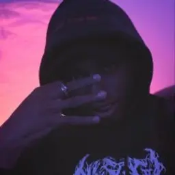 shizz1337