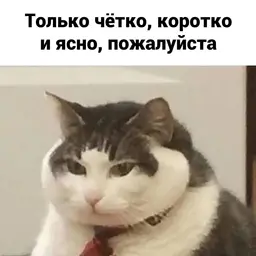animebiz