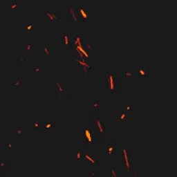Zhulban_inactive