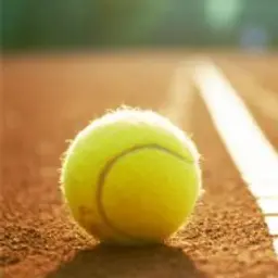 TENNIS_inactive401640