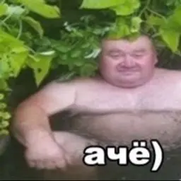 Sevs