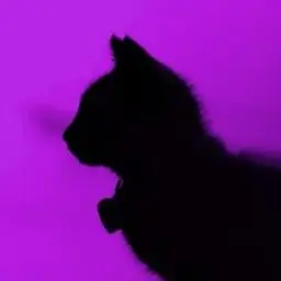 Мяу