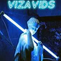 VizaviDS