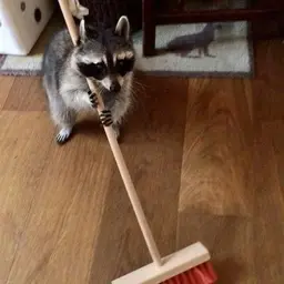 klawz