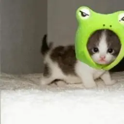 НовогоднийСалат