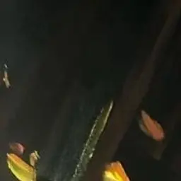 PARTYCRAFT
